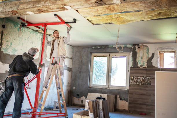 Best Specialized Insulation Services in Walnut Creek, CA