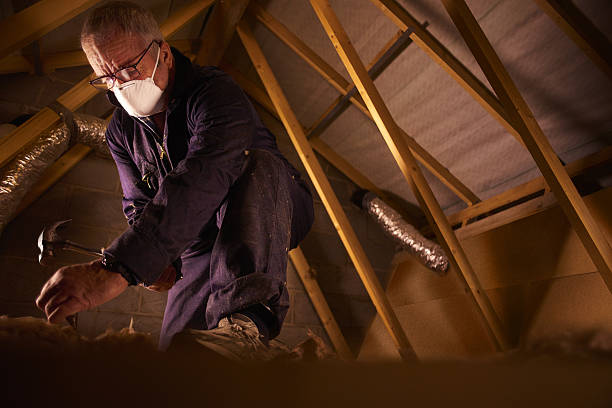 Types of Insulation We Offer in Walnut Creek, CA
